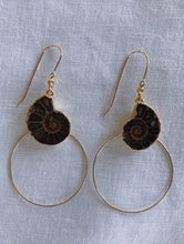 Load image into Gallery viewer, L'Escargot