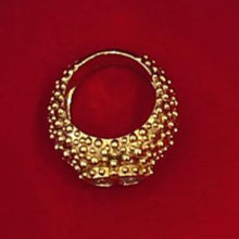 Load image into Gallery viewer, Le volcan